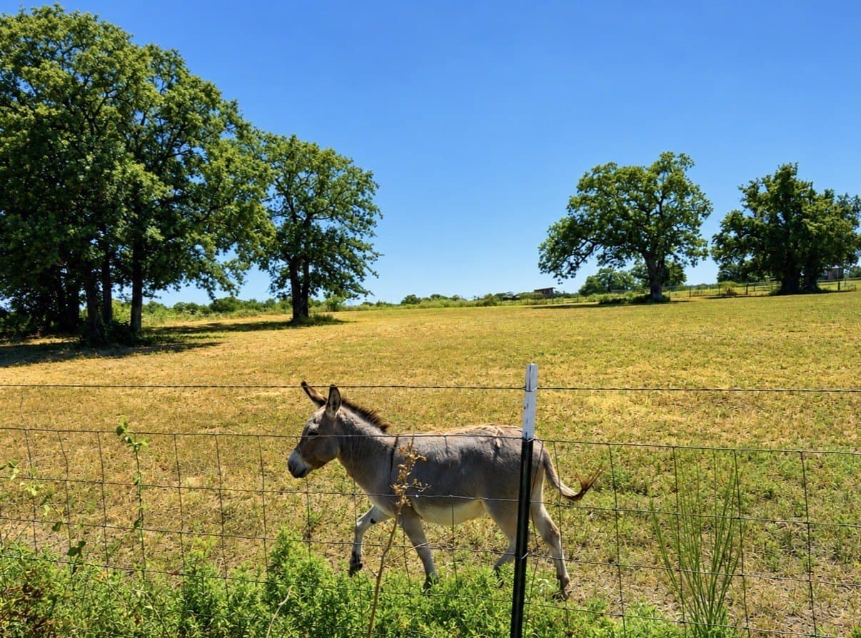 10.35 acres in Parker County - photo 22