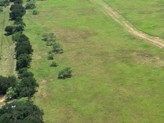 2.96 acres in Palo Pinto County gallery image 2