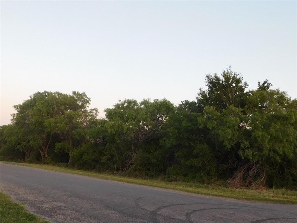 9.31 acres in Jim Wells County gallery image 2
