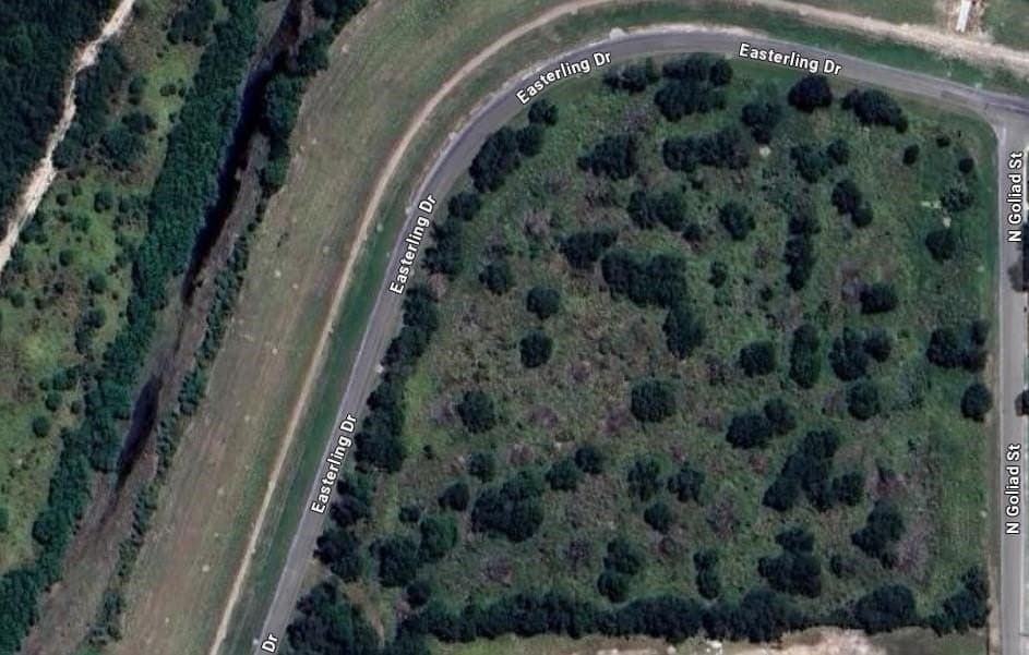 9.31 acres in Jim Wells County gallery image 4
