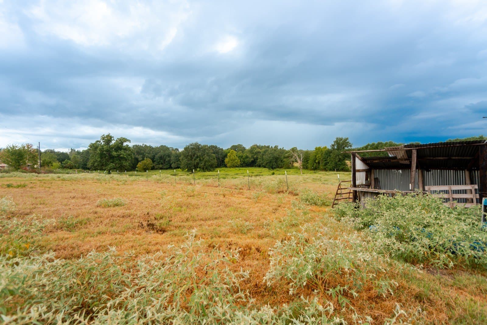 22.79 acres in Wood County - photo 9