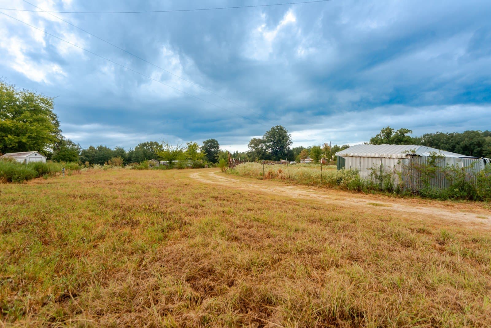 22.79 acres in Wood County - photo 8