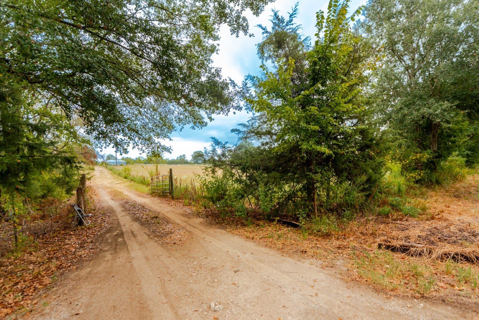 22.79 acres in Wood County - photo 4