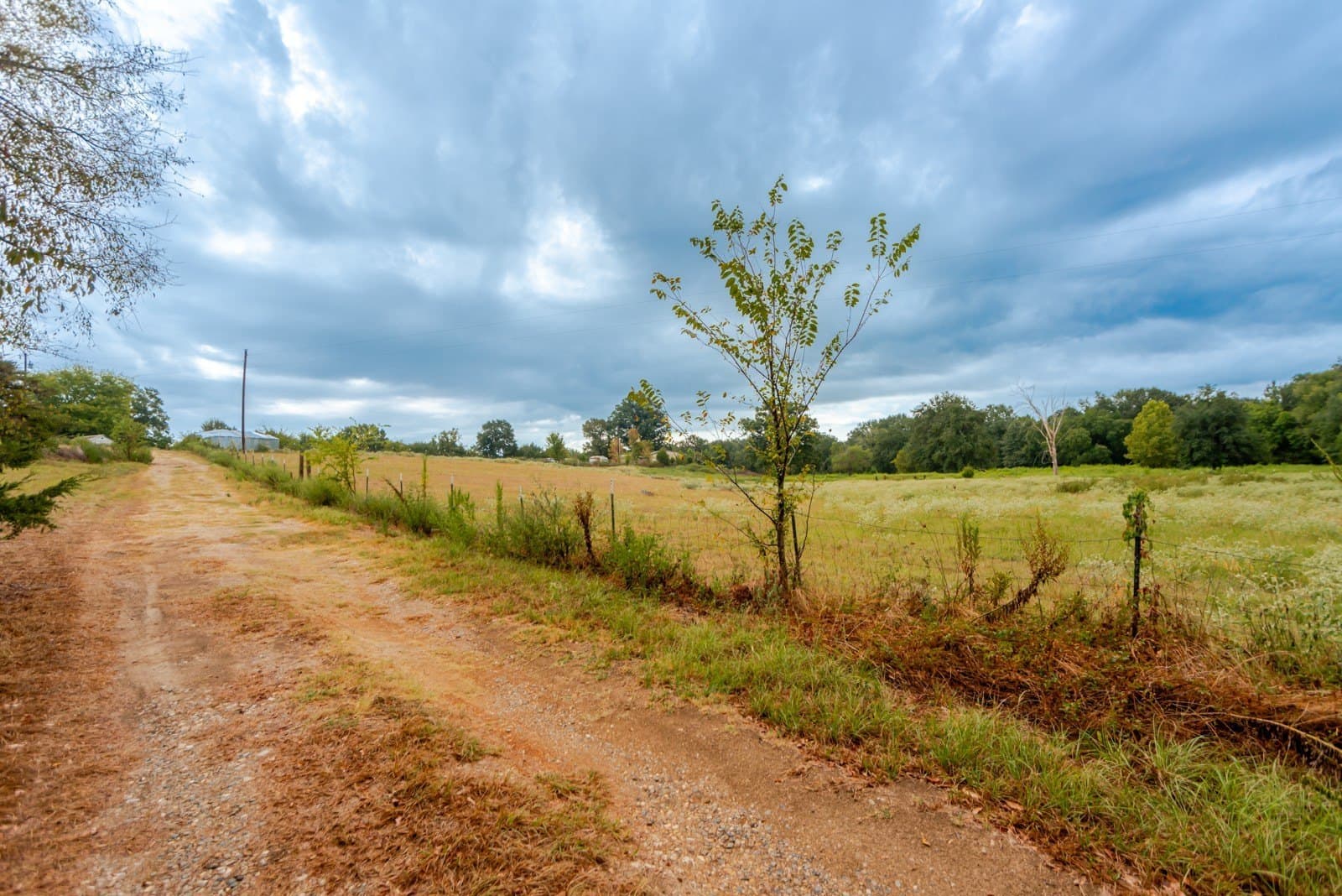 22.79 acres in Wood County - photo 5