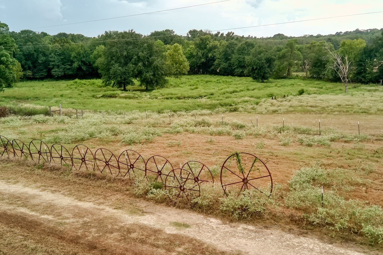 22.79 acres in Wood County - photo 37