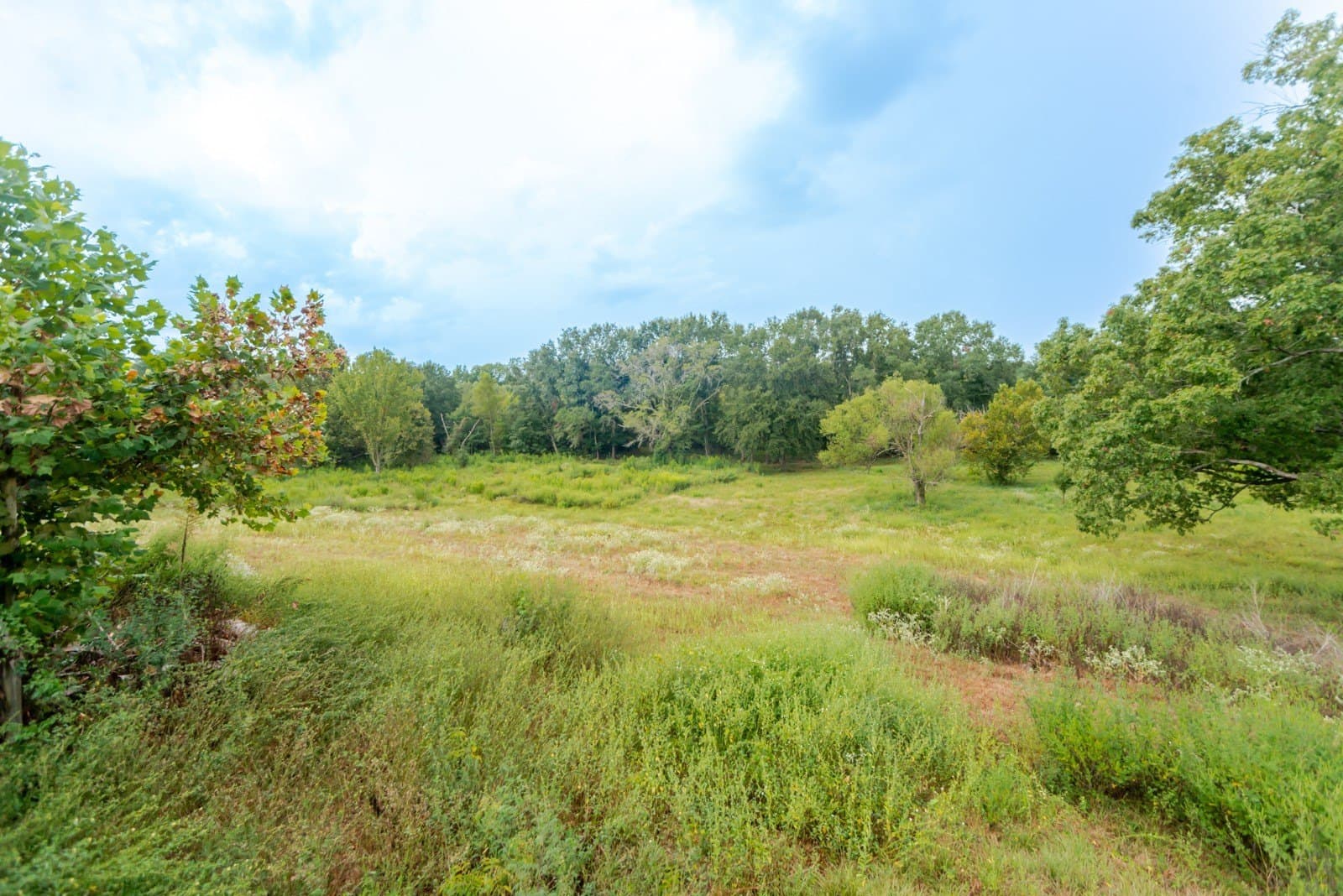 22.79 acres in Wood County - photo 17