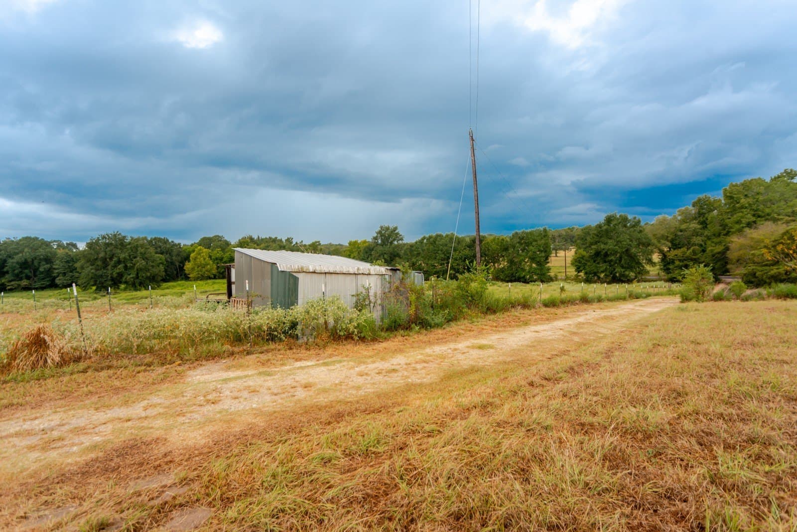 22.79 acres in Wood County - photo 7