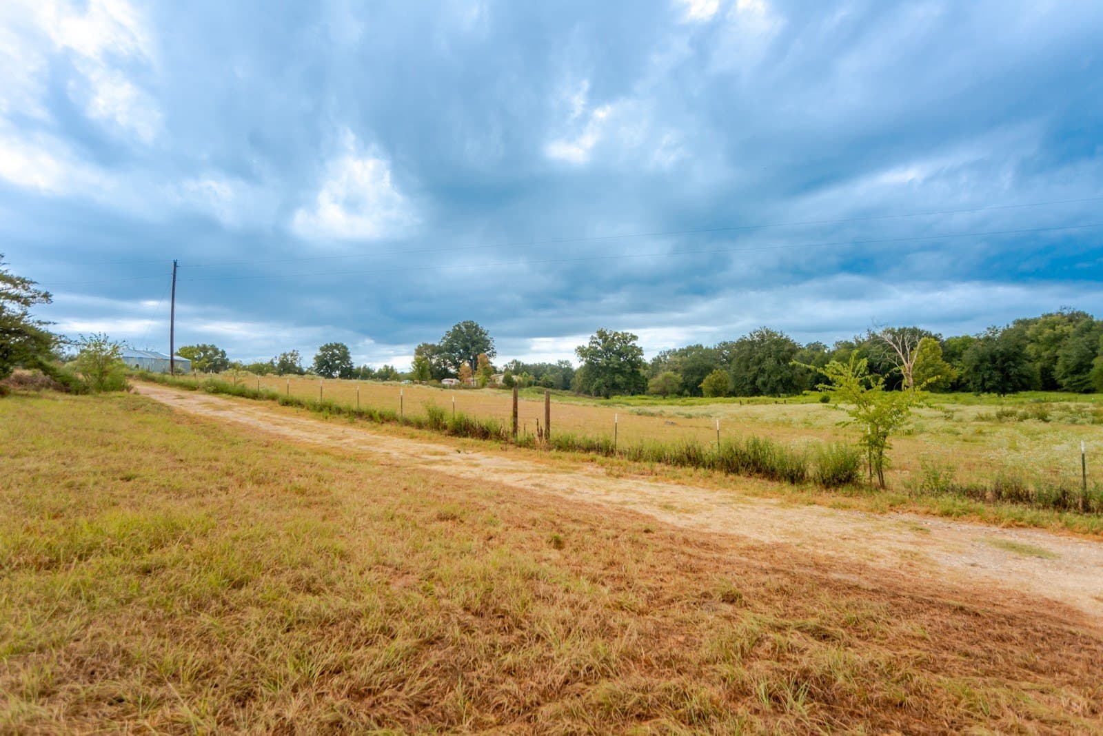 22.79 acres in Wood County - photo 6