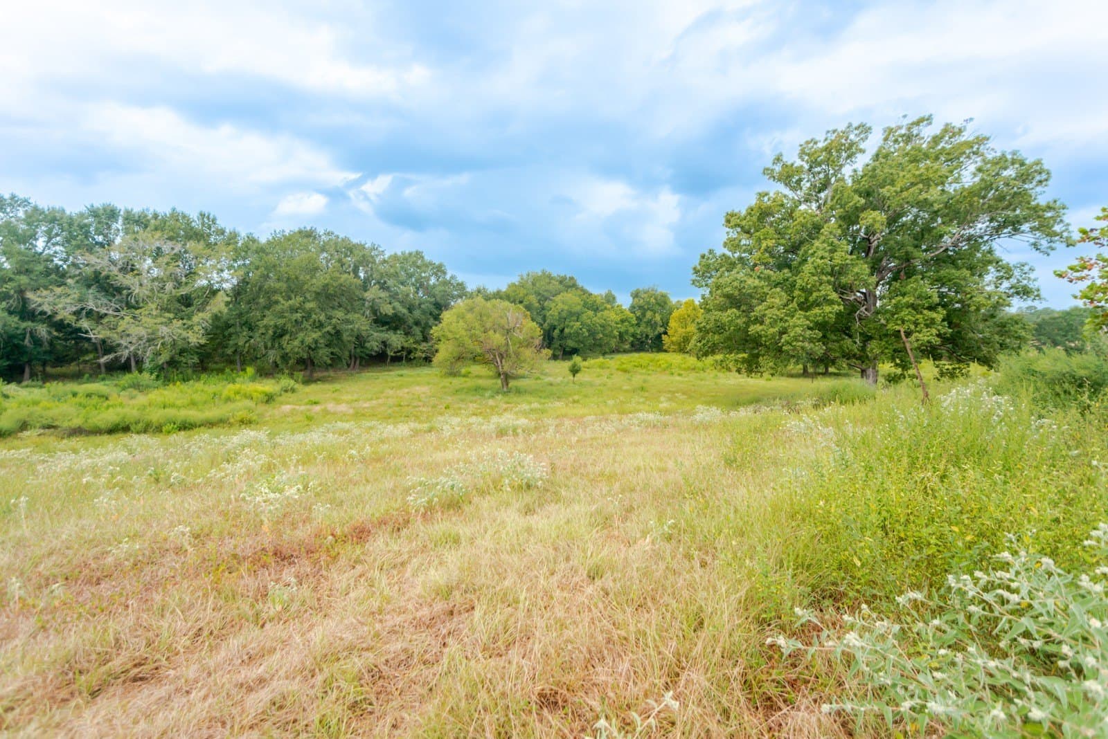 22.79 acres in Wood County - photo 13
