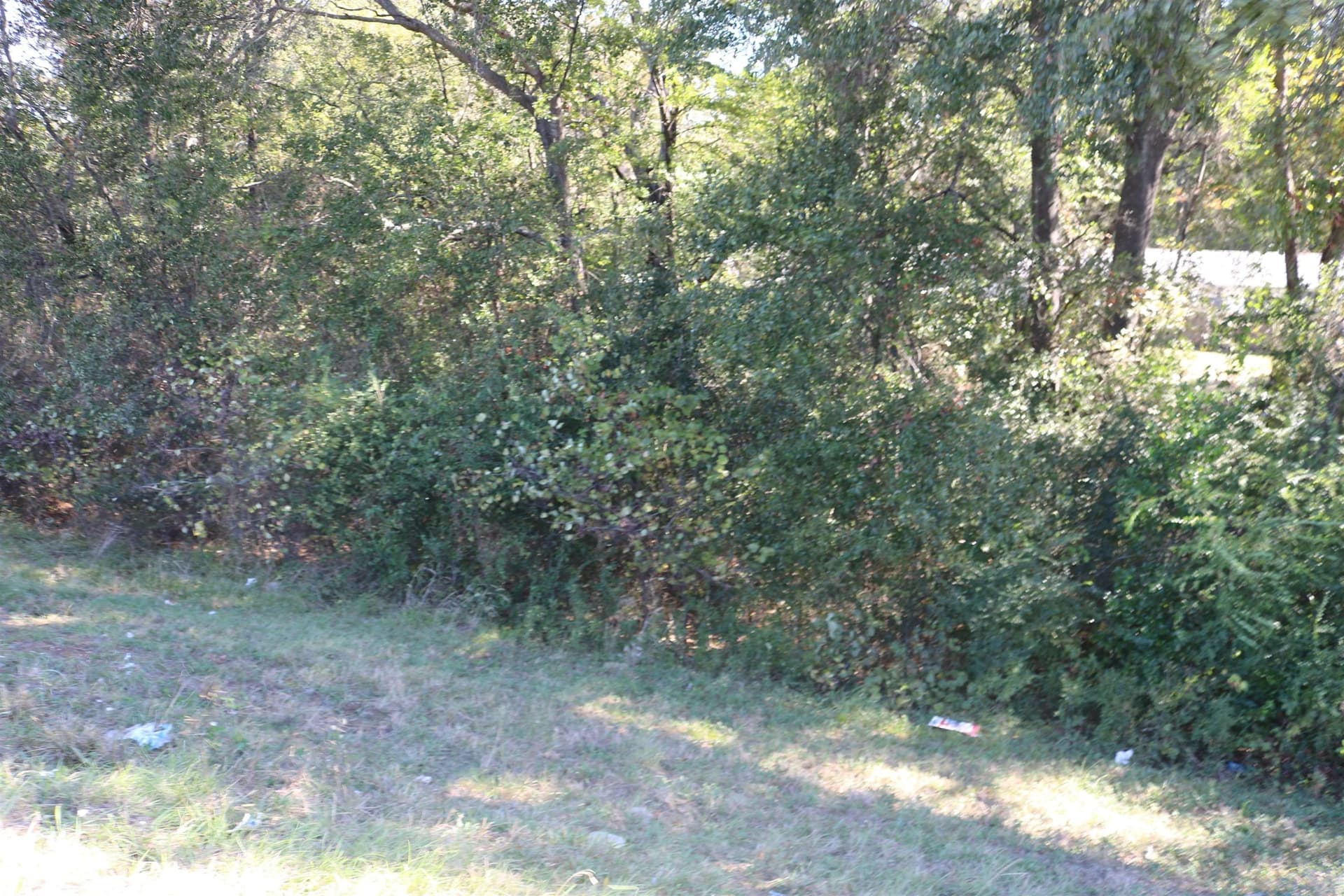 0.48 acres in Marion County gallery image 4