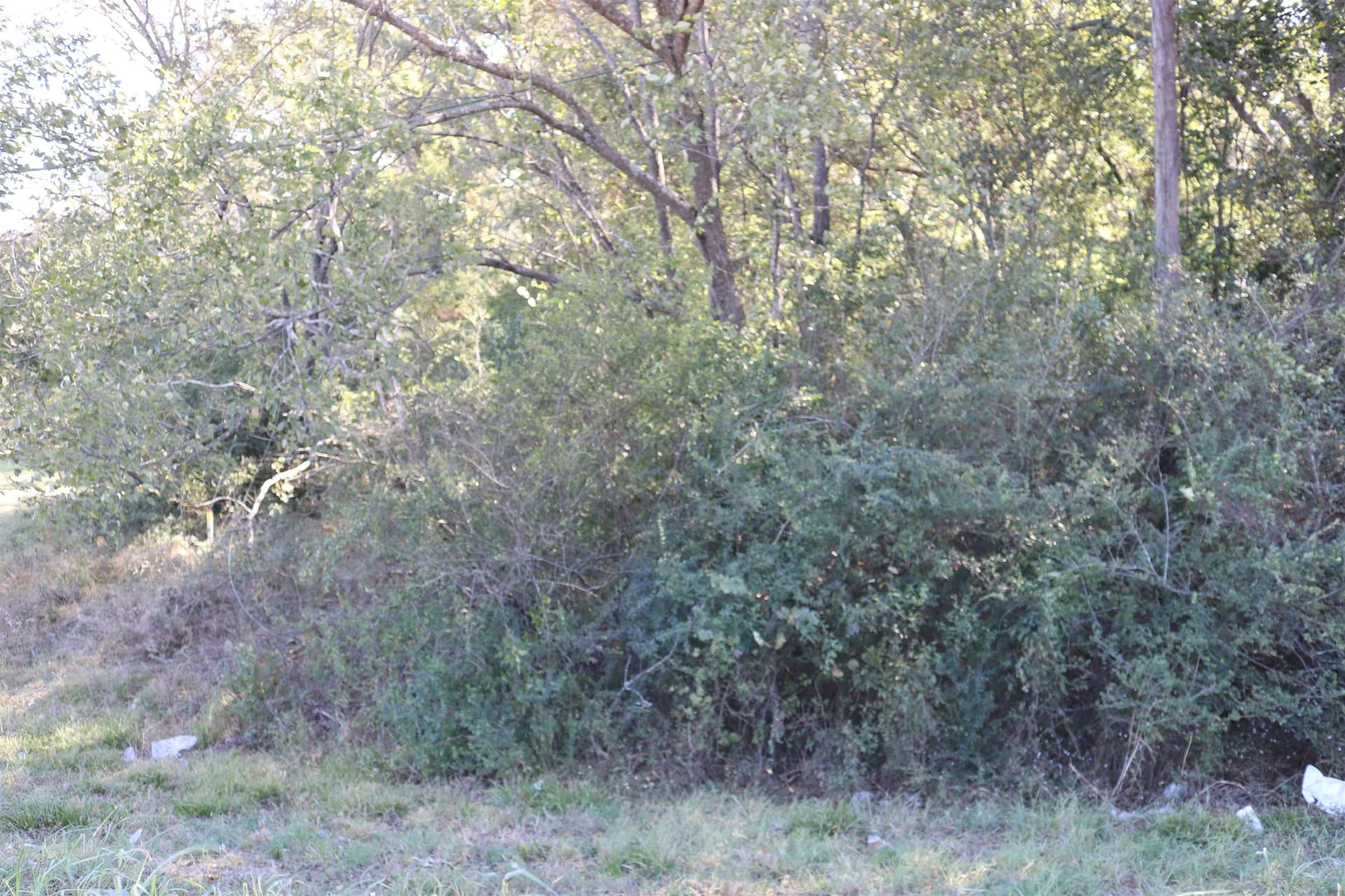 0.48 acres in Marion County gallery image 3
