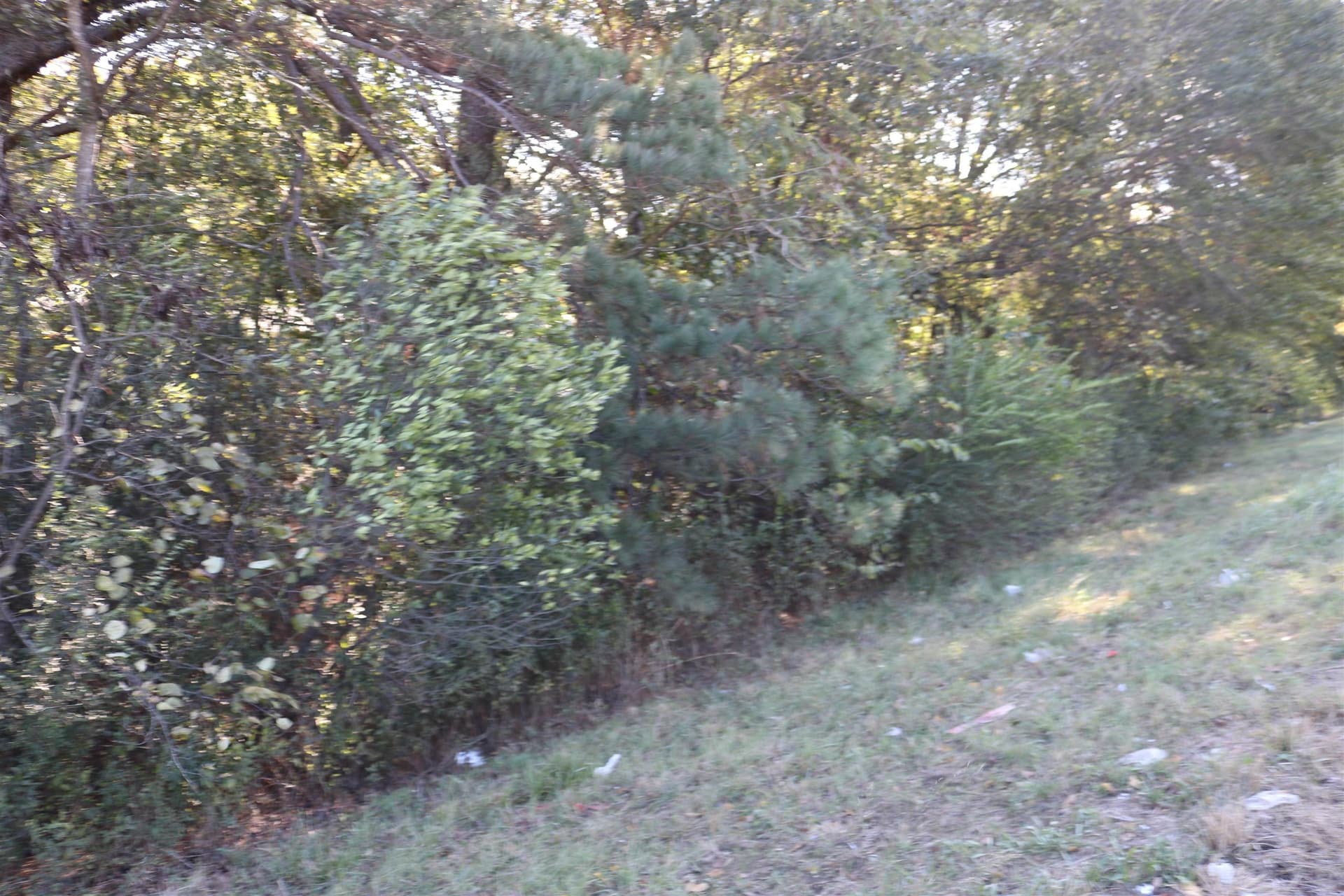 0.48 acres in Marion County