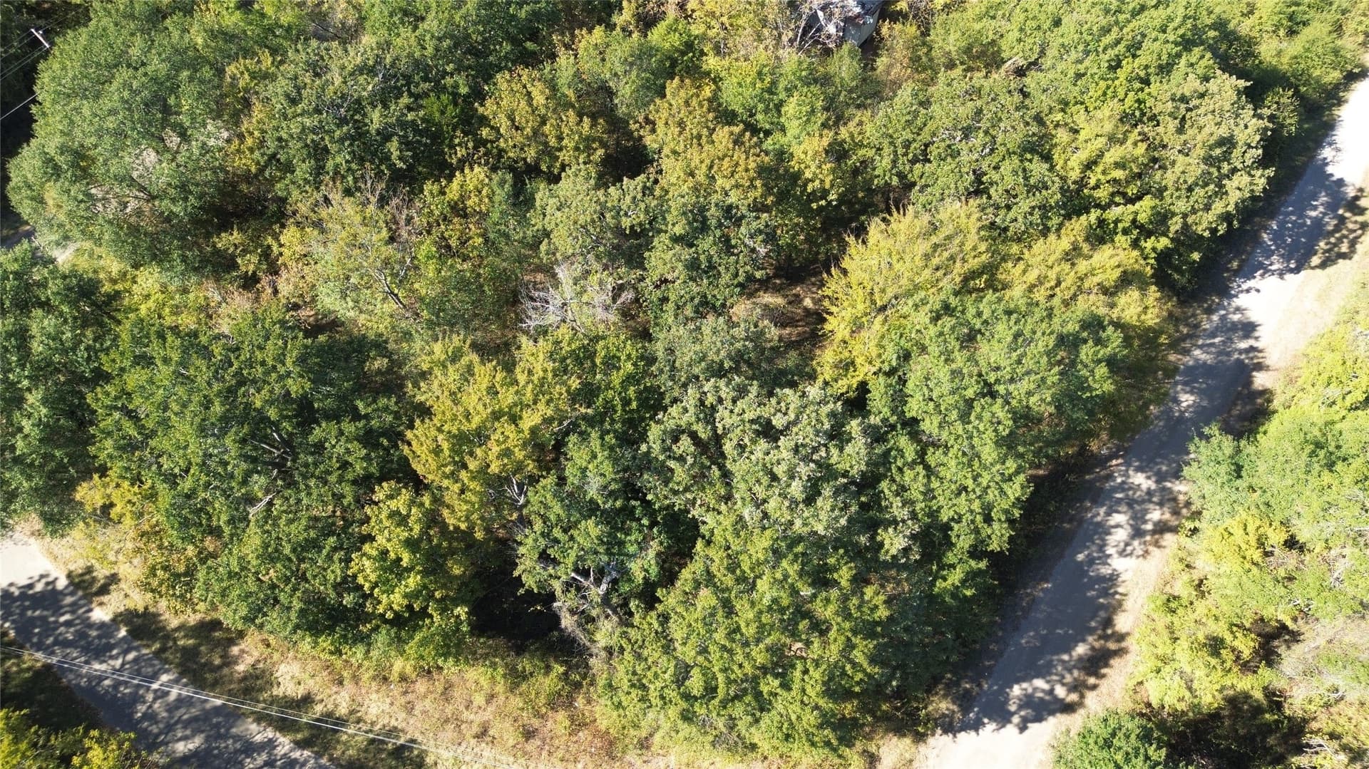0.18 acres in Henderson County - photo 6