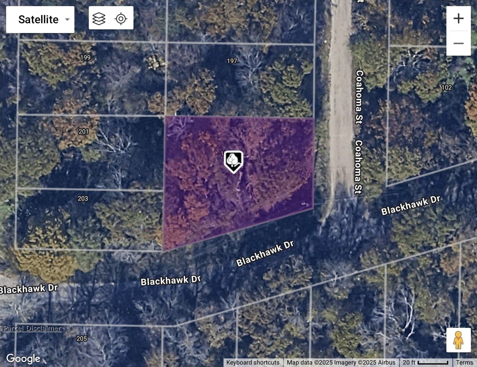 0.18 acres in Henderson County - photo 12