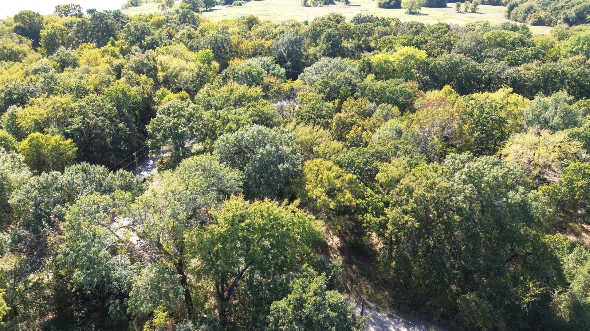 0.18 acres in Henderson County - photo 7