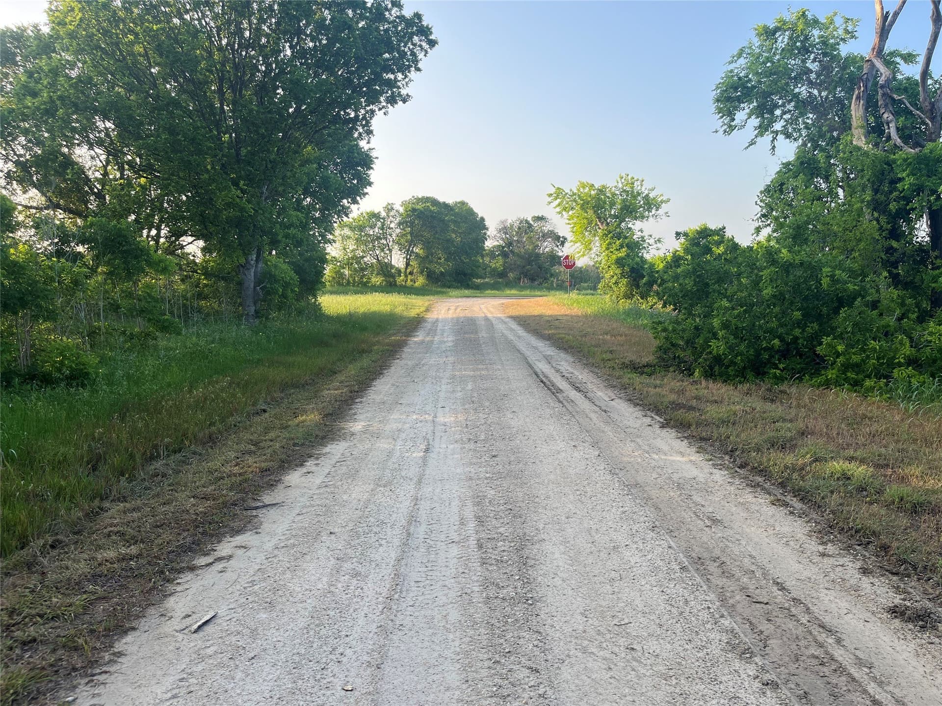 15.35 acres in Limestone County - photo 7