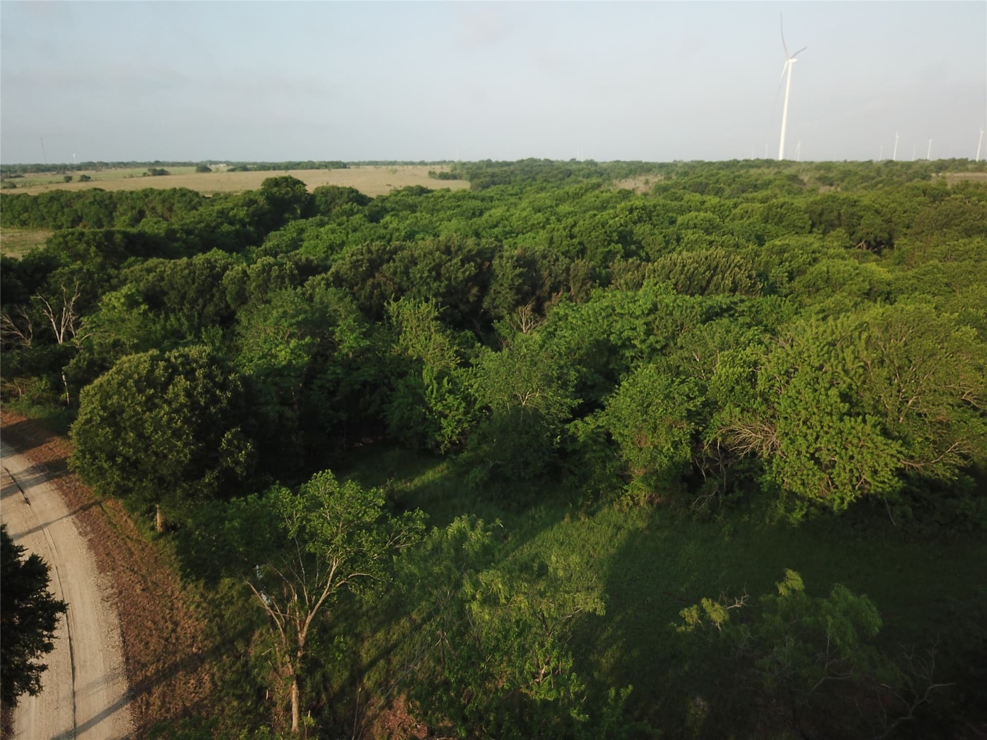 15.35 acres in Limestone County - photo 6
