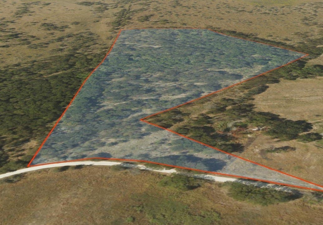 15.35 acres in Limestone County - photo 11