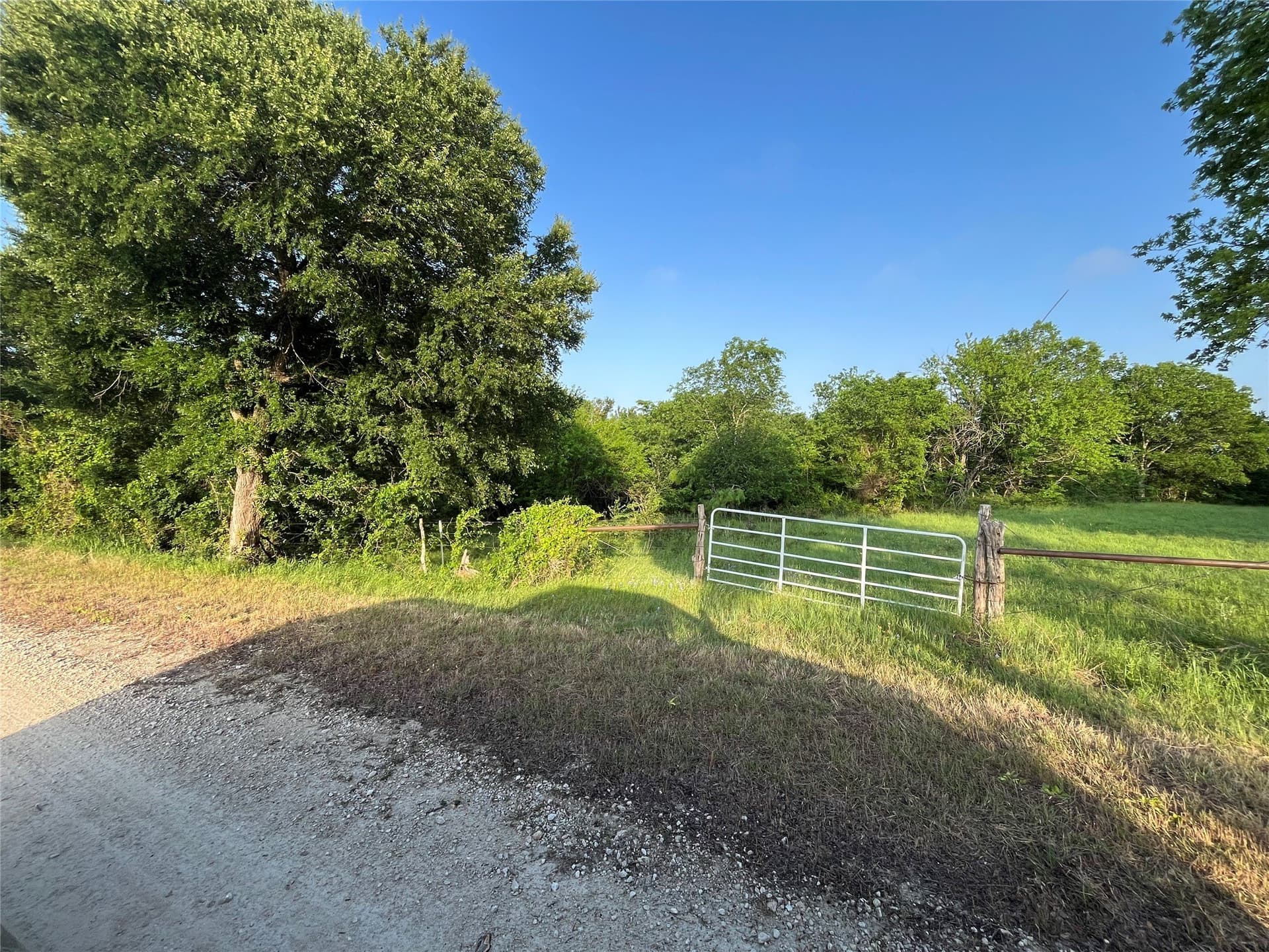 15.35 acres in Limestone County gallery image 4