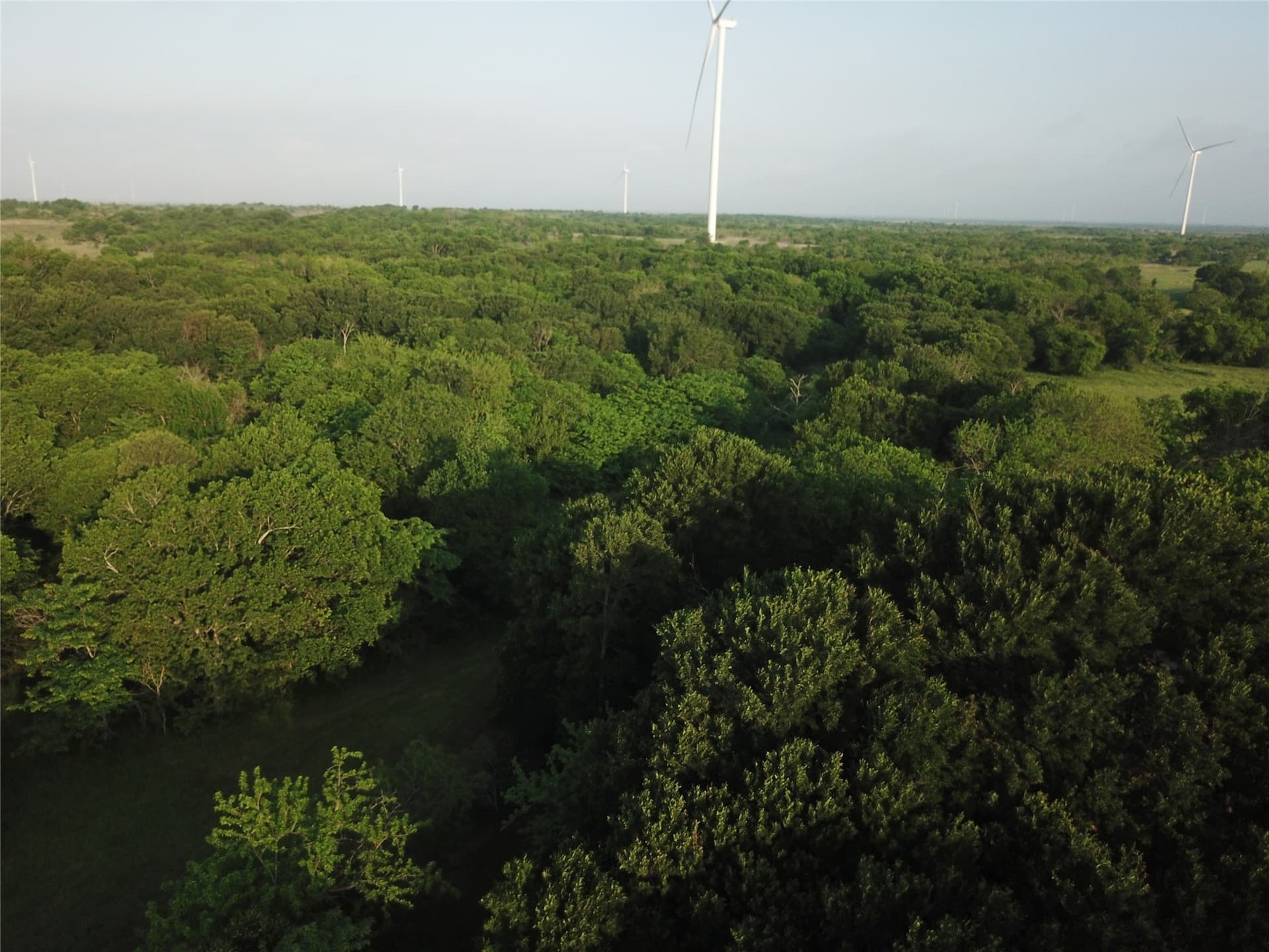 15.35 acres in Limestone County - photo 10
