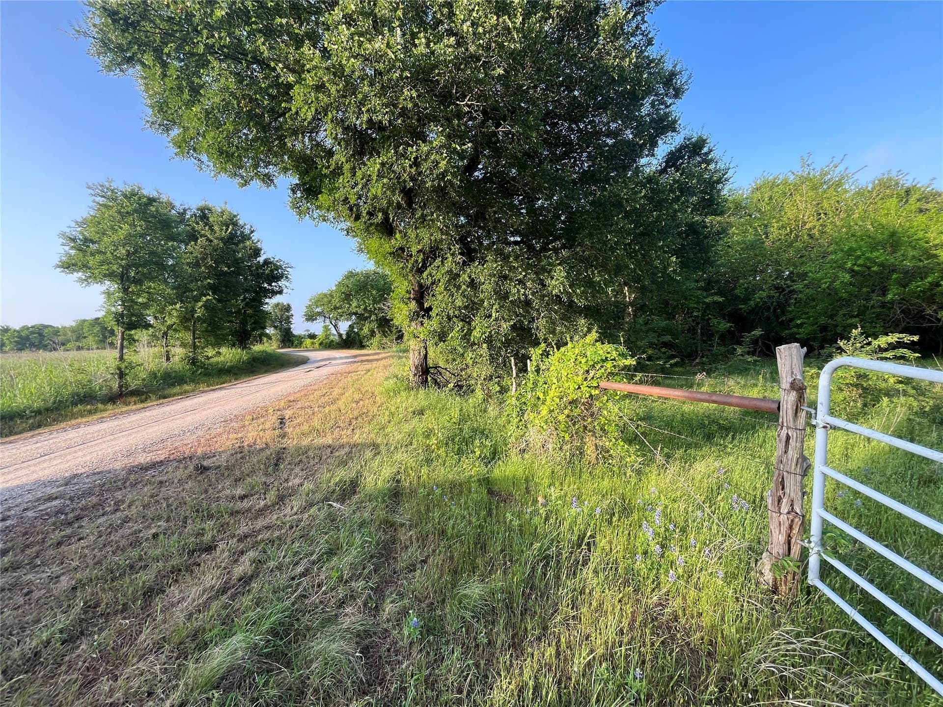 15.35 acres in Limestone County gallery image 2