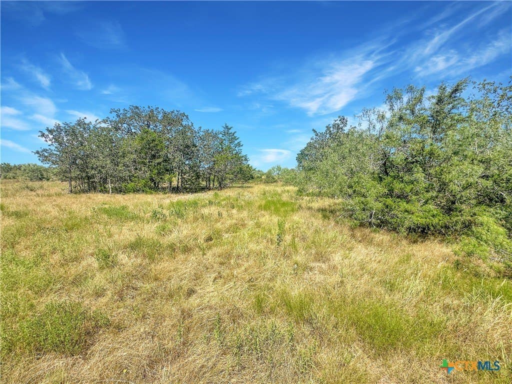 45.95 acres in Fayette County - photo 8