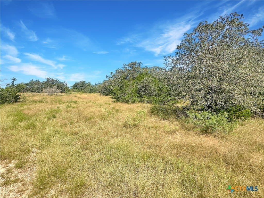45.95 acres in Fayette County - photo 18
