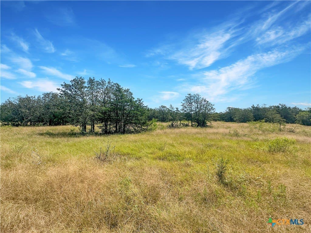 45.95 acres in Fayette County - photo 12