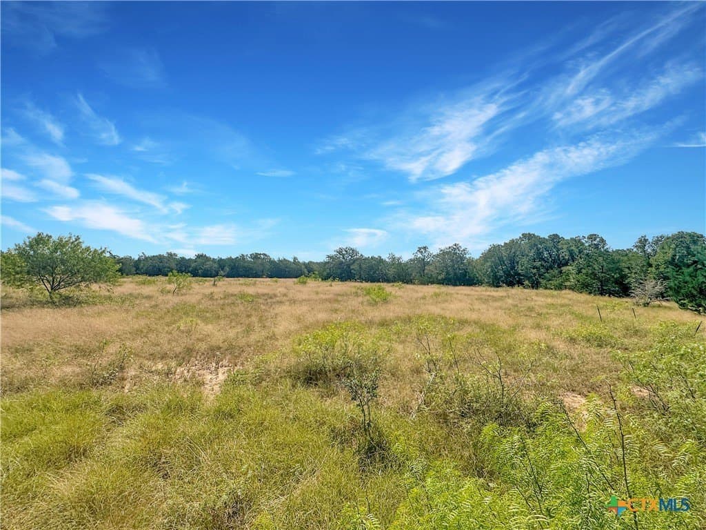 45.95 acres in Fayette County - photo 17