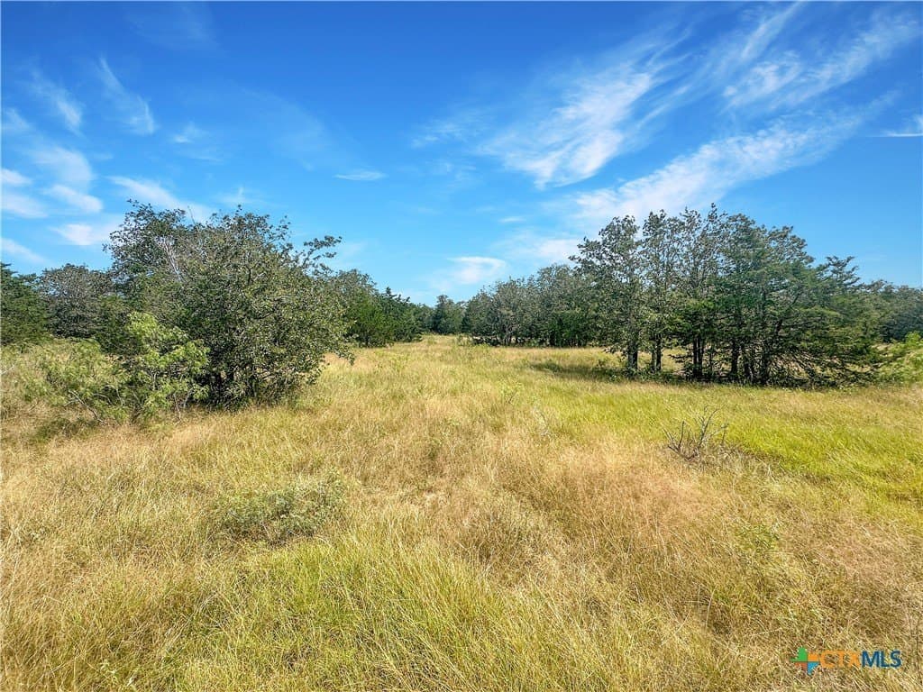 45.95 acres in Fayette County - photo 19