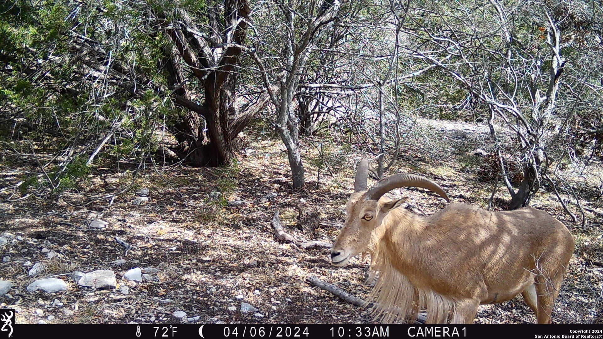 68.27 acres in Edwards County