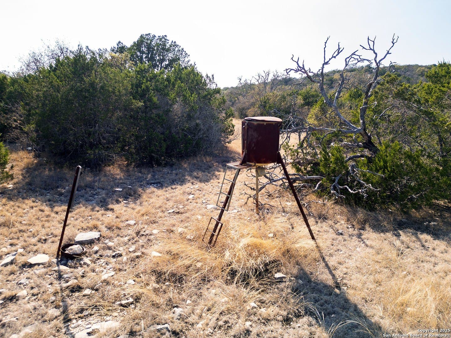 68.27 acres in Edwards County gallery image 4