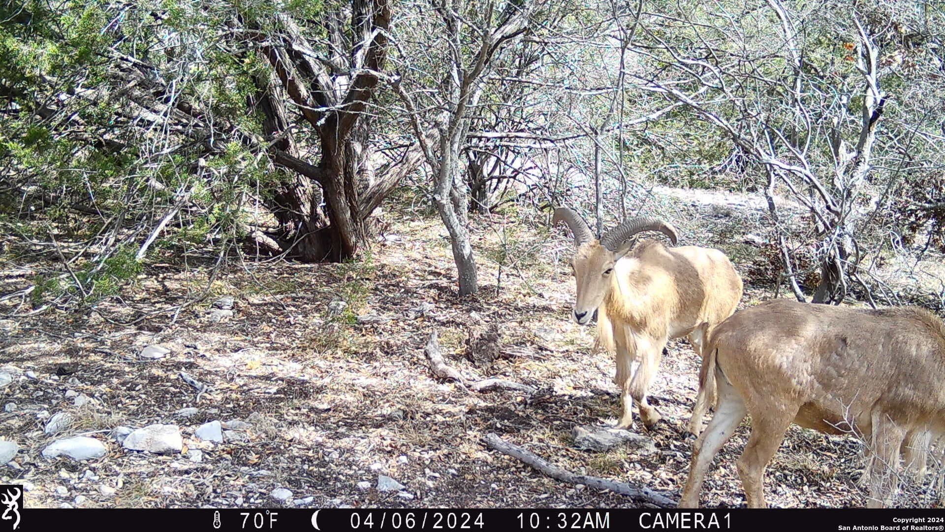 68.27 acres in Edwards County gallery image 2