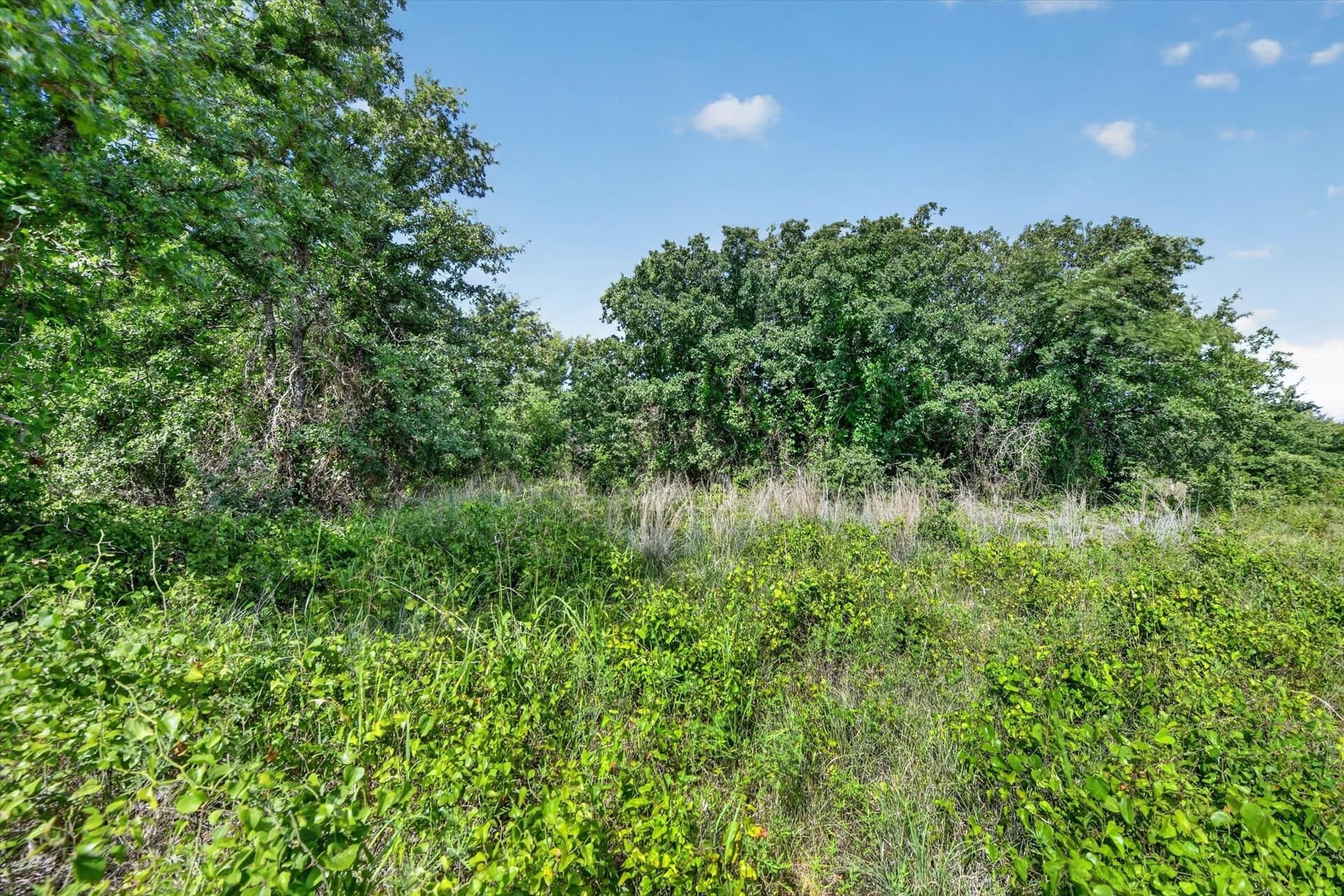 5.04 acres in Palo Pinto County - photo 14