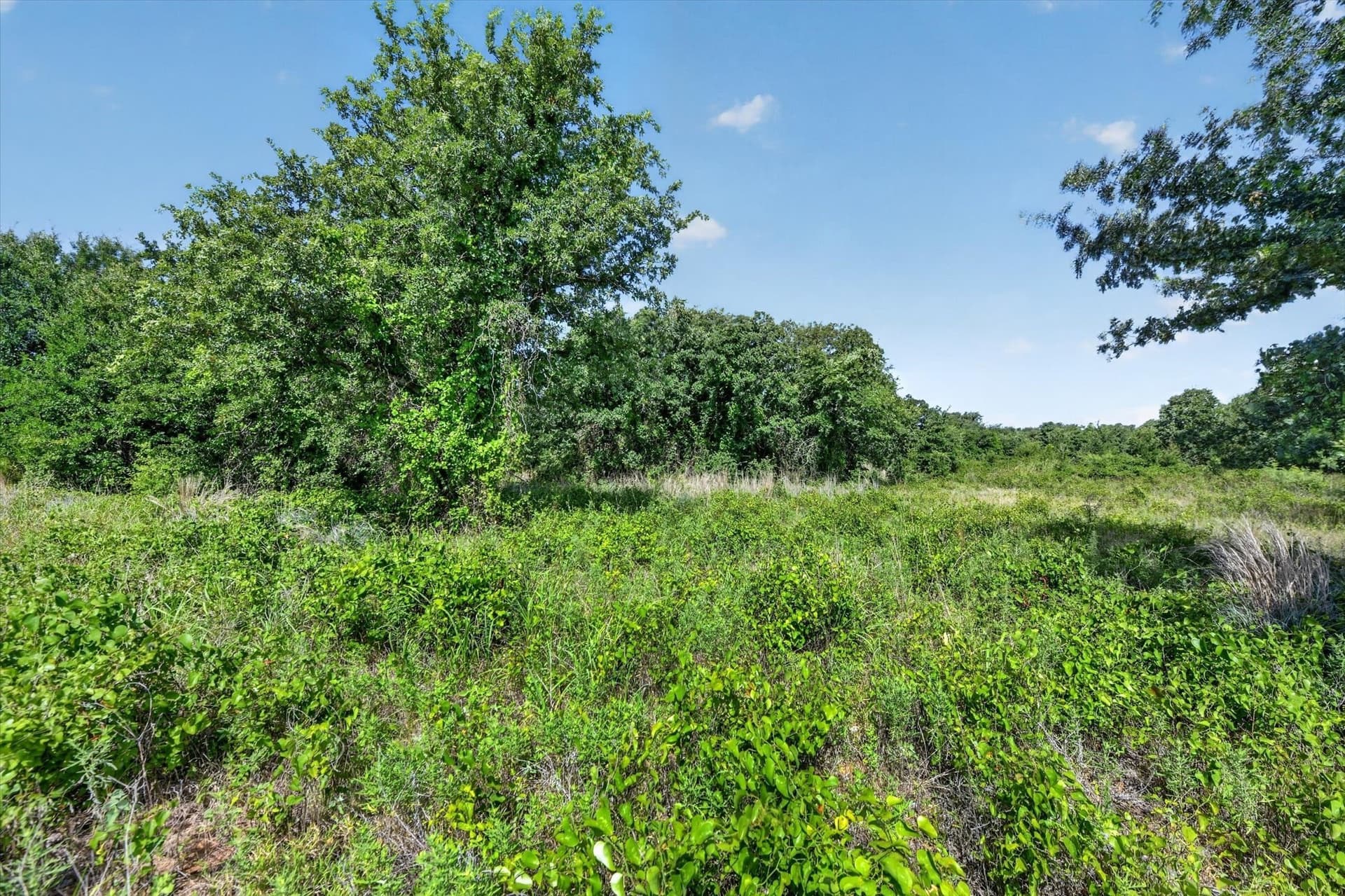 5.04 acres in Palo Pinto County - photo 13
