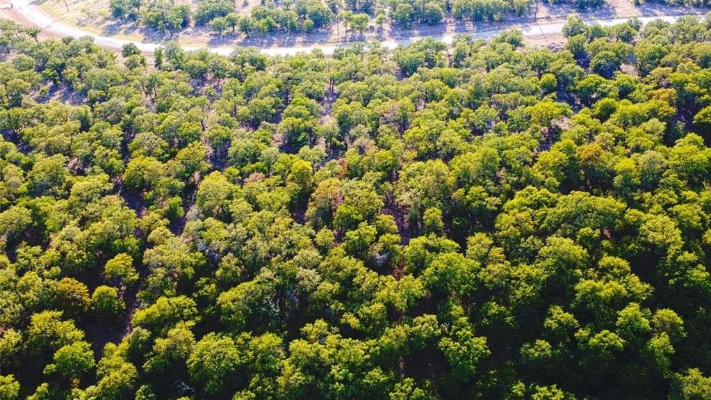 1.19 acres in Palo Pinto County gallery image 4