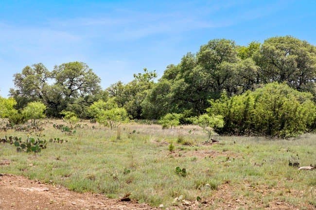 14.42 acres in Burnet County gallery image 4