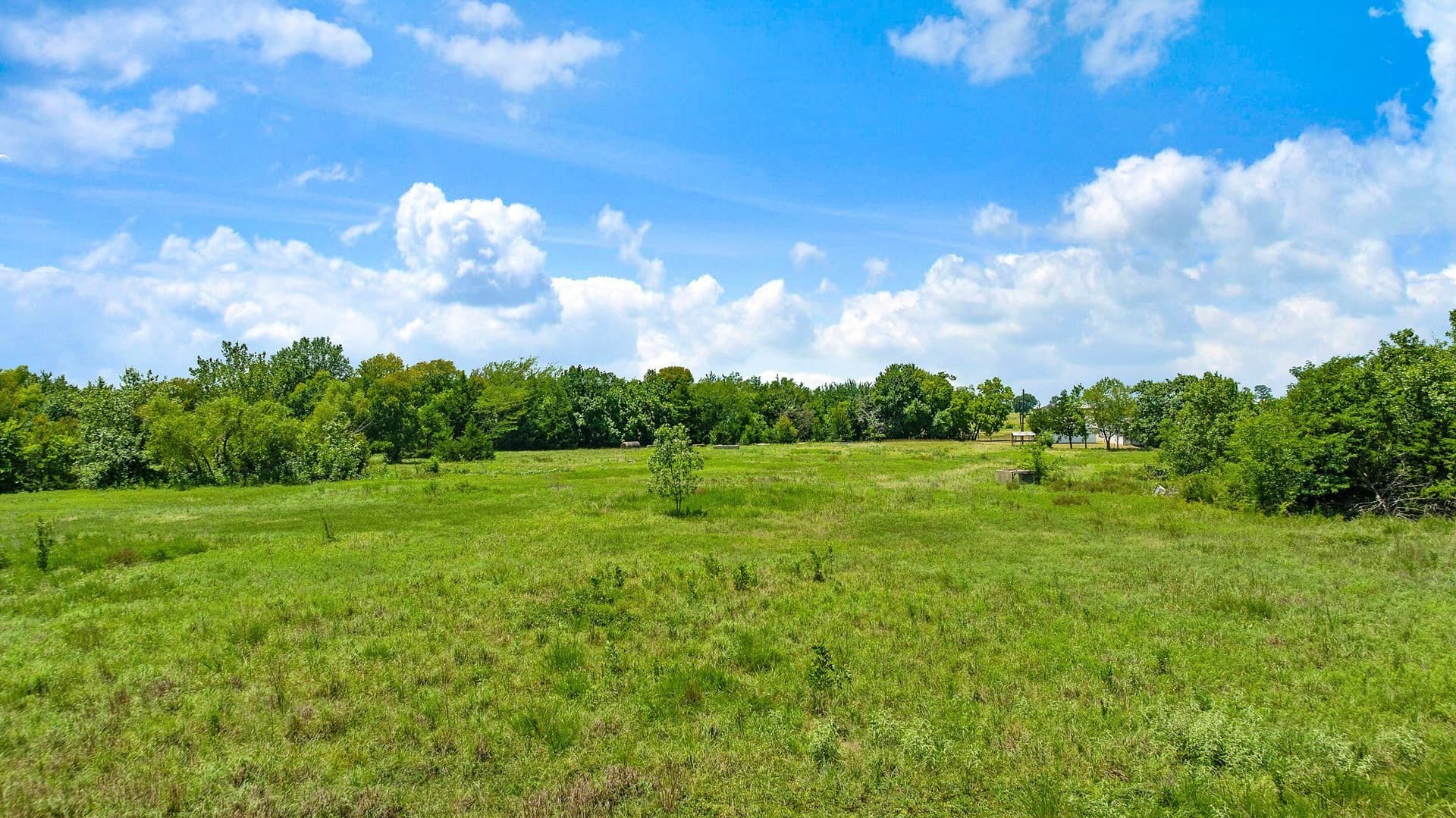 11.05 acres in Lamar County - photo 13