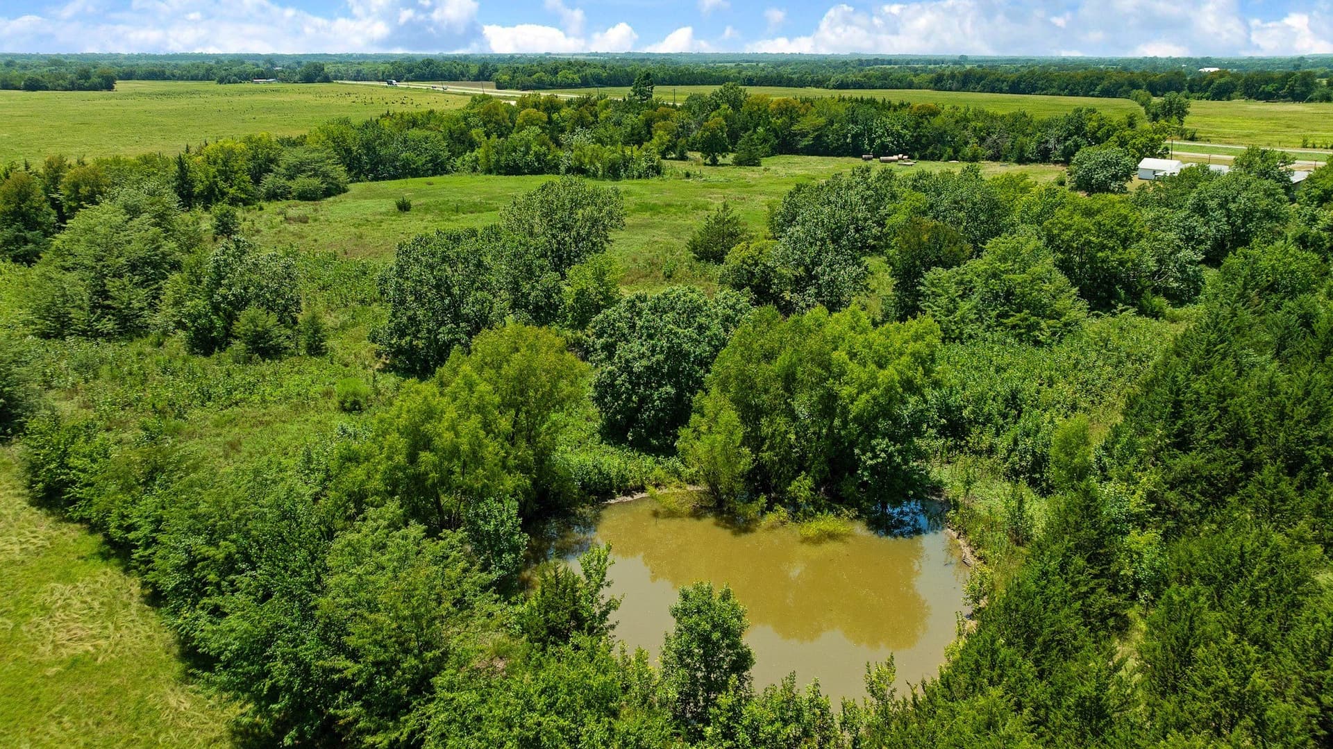 11.05 acres in Lamar County - photo 14