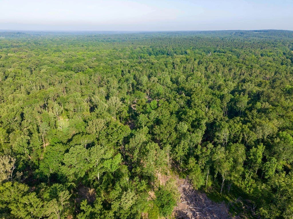 538.49 acres in Texas County - photo 8
