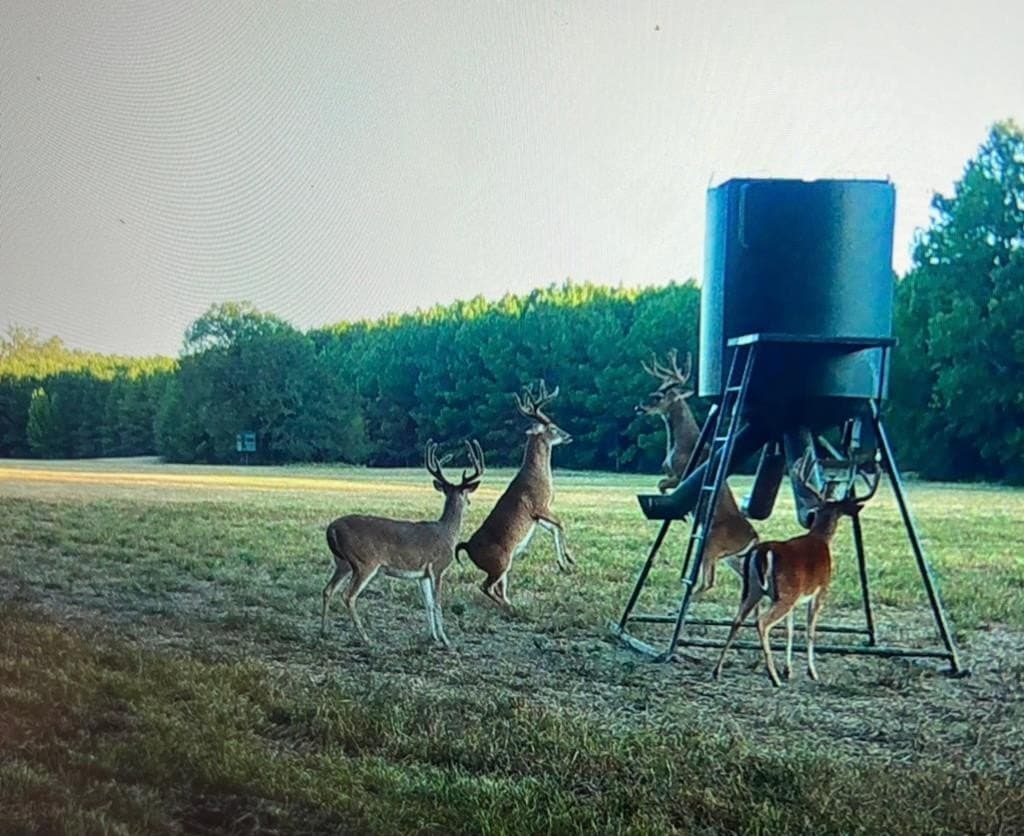 538.49 acres in Texas County - photo 37
