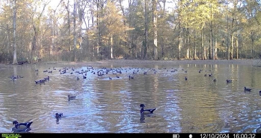 538.49 acres in Texas County - photo 40