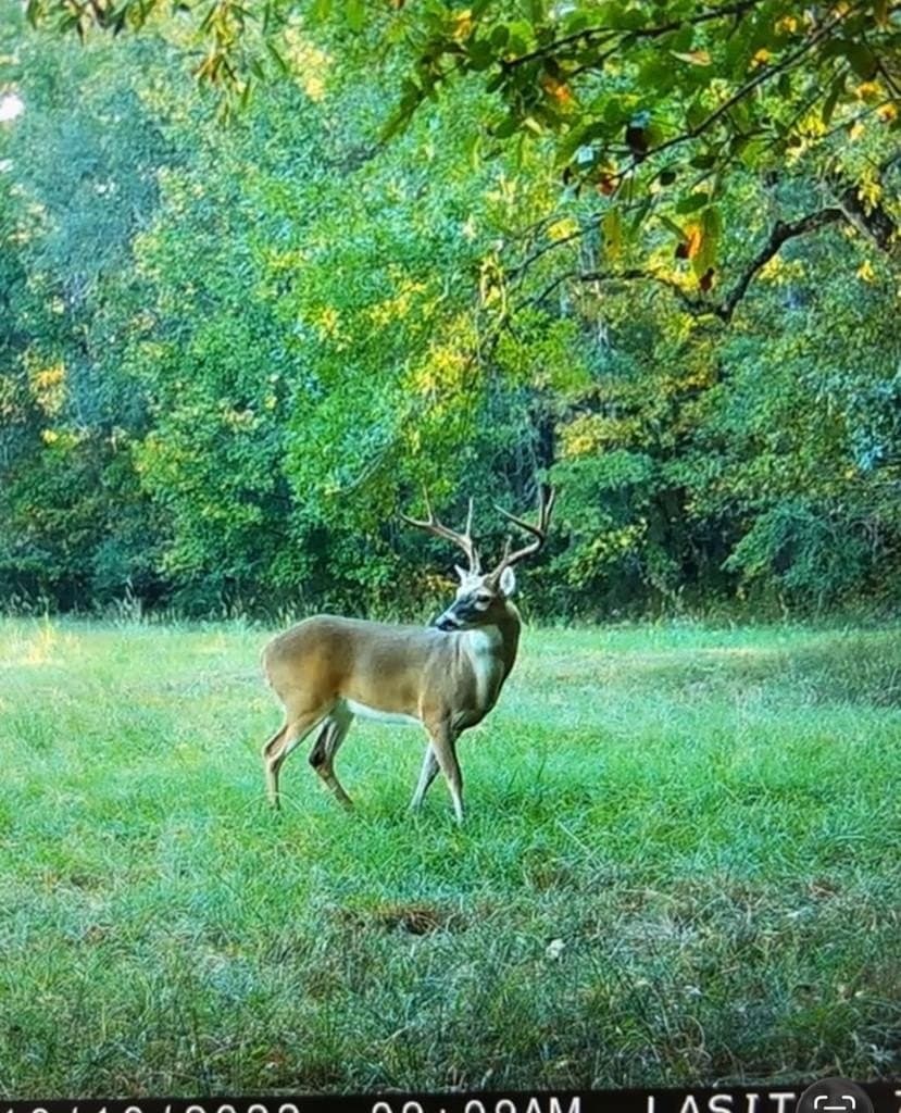 538.49 acres in Texas County - photo 33