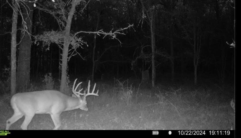 538.49 acres in Texas County - photo 42