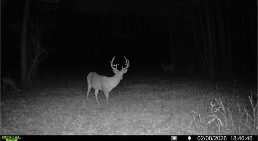 538.49 acres in Texas County - photo 43