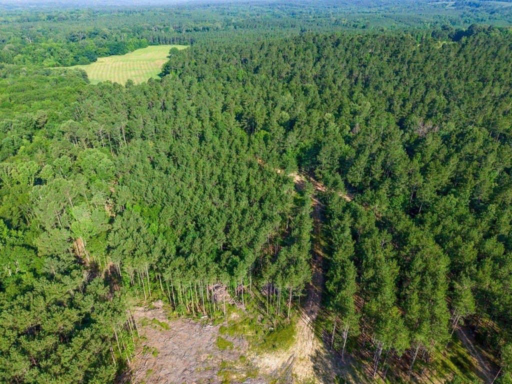 538.49 acres in Texas County - photo 16