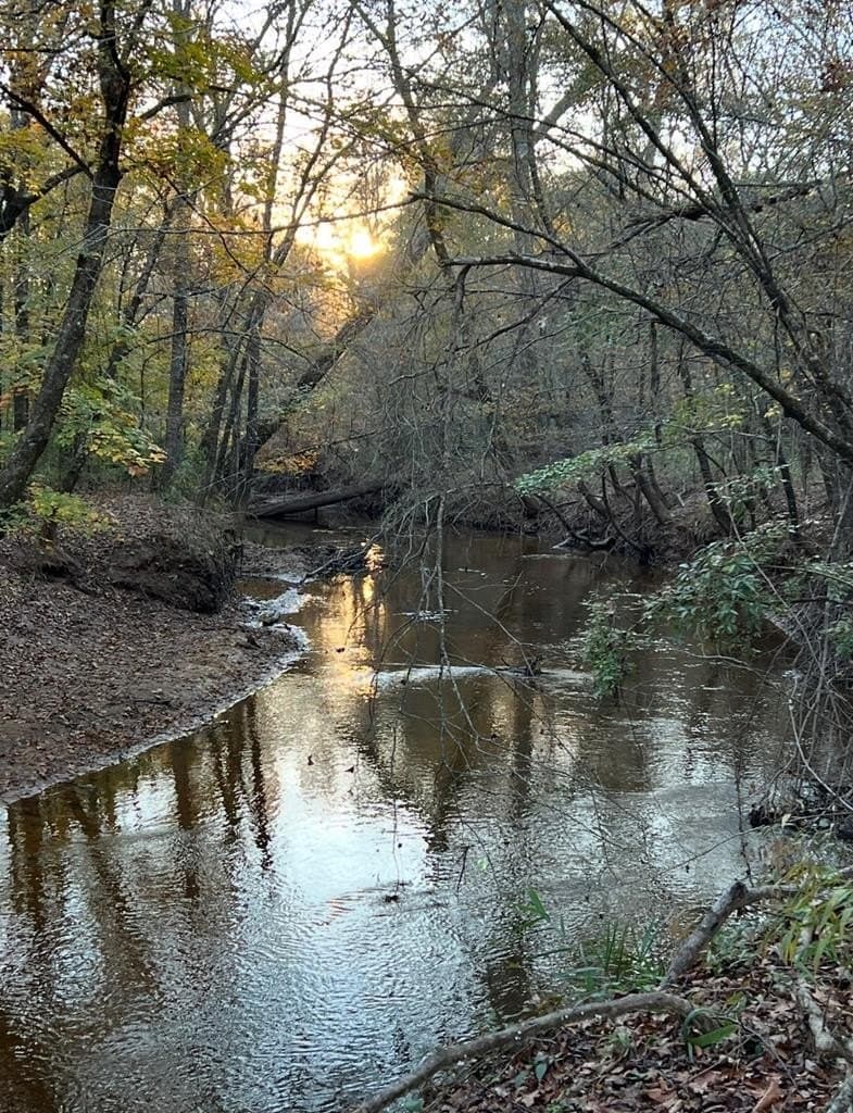 538.49 acres in Texas County - photo 41