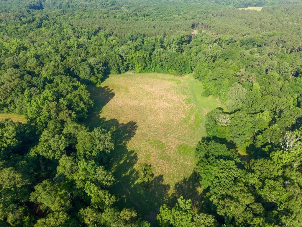 538.49 acres in Texas County - photo 10