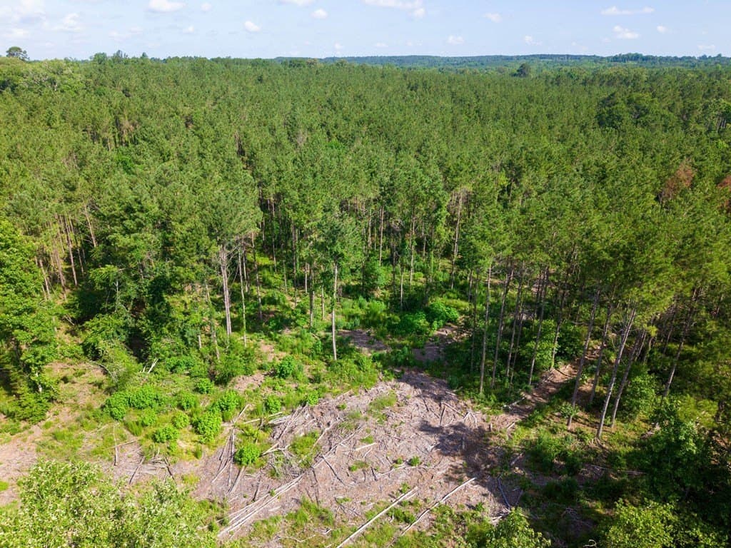 538.49 acres in Texas County - photo 26