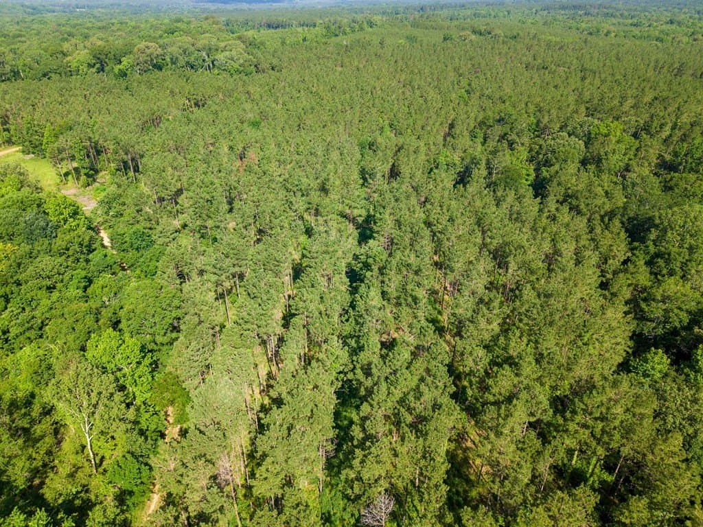 538.49 acres in Texas County - photo 24